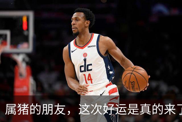属猪的朋友，这次好运是真的来了