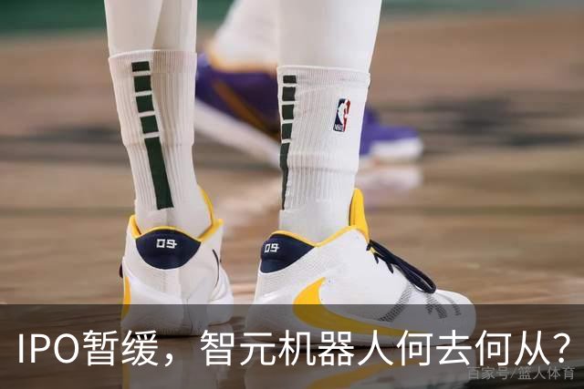IPO暂缓，智元机器人何去何从？